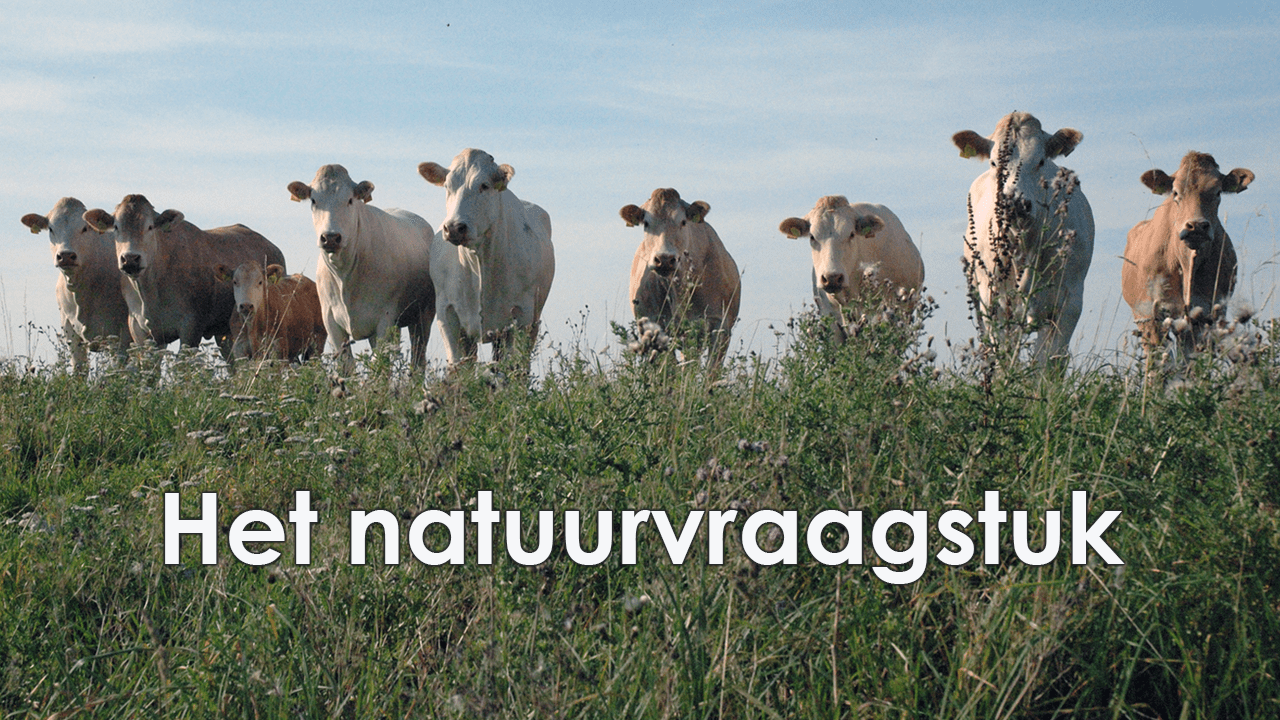 Het natuurvraagstuk