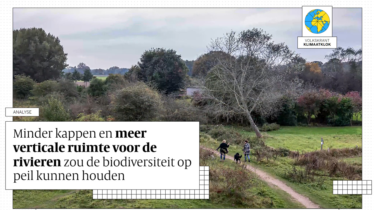 Minder kappen en meer verticale ruimte voor de rivieren